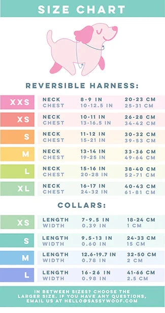 Dog Three Piece Bundle - Superman™ & Krypto™ 8 Dog Three Piece Bundle - Superman™ & Krypto™ - Image 6