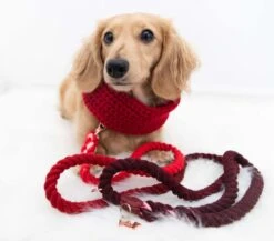 Dog Rope Leash - Ruby -Furfinity Cheap Shop Ruby2