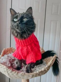 Dog Cable Knit Sweater - Hot Pink -Furfinity Cheap Shop SAKI WASABI FLOOFBALLS 1 a0af9735 af53 4ec0 ae3a 61f77ed28f5a