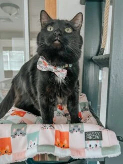 Cat Bowtie - Smitten Kittens 17 Cat Bowtie - Smitten Kittens -Furfinity Cheap Shop SAKI WASABI FLOOFBALLS 2 95f15489 cec2 4364 8507 2a341c6afe53