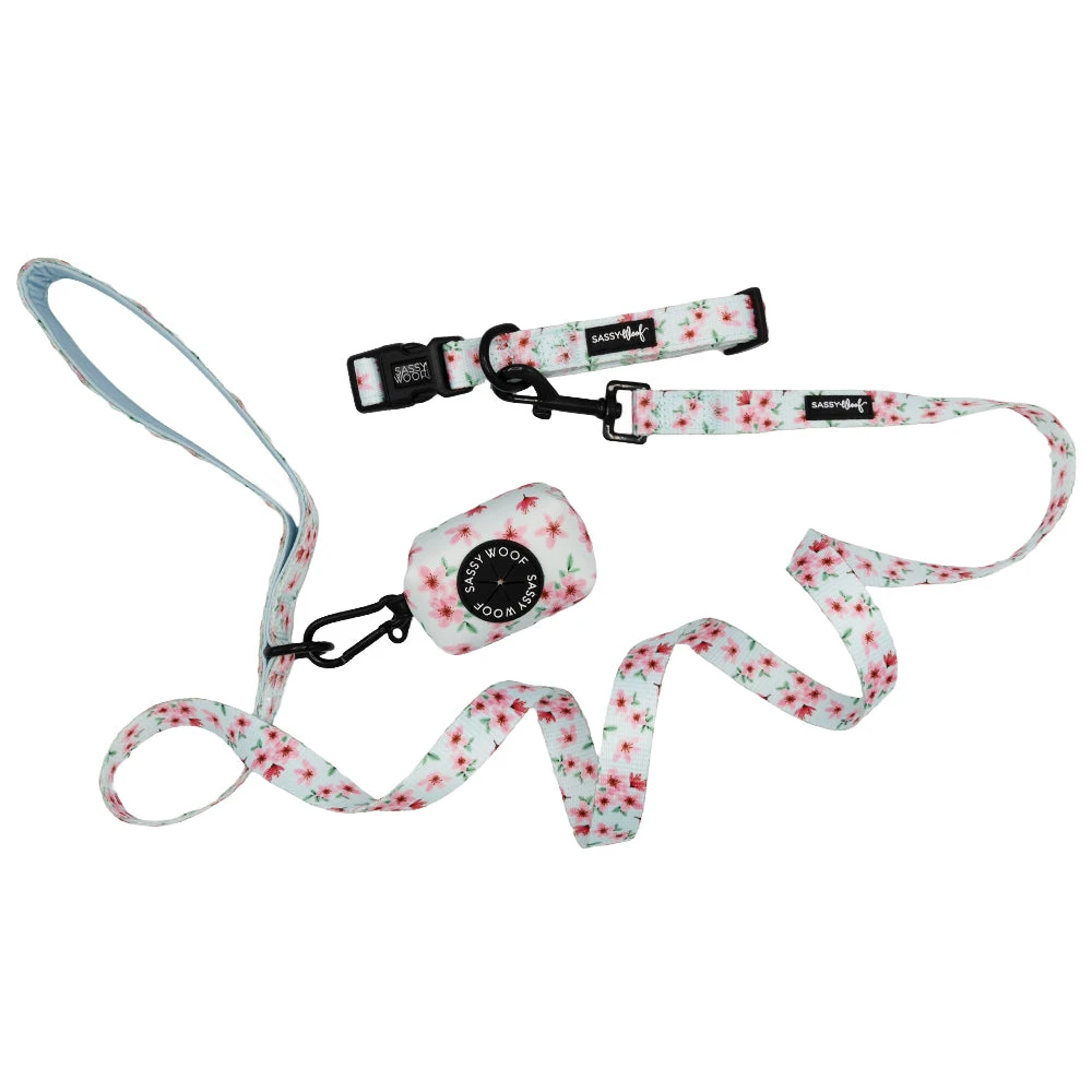 Collar Three Piece Bundle - Sakura 2 Collar Three Piece Bundle - Sakura