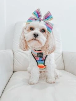 Dog Sailor Bow - Love You Fur You -Furfinity Cheap Shop SCOUT AND SAYLOR 2 fb2d12ad 37e3 45a3 8744 27a1a4916e19