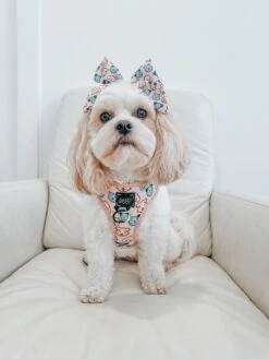 Dog Sailor Bow - Mixed With Love 19 Dog Sailor Bow - Mixed With Love -Furfinity Cheap Shop SCOUT AND SAYLOR 7