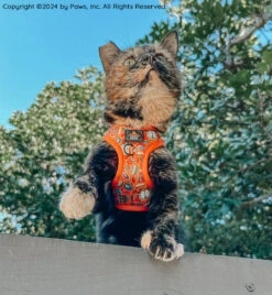 Cat Step-In Harness - Garfield™️ -Furfinity Cheap Shop SCREAMY BEANY