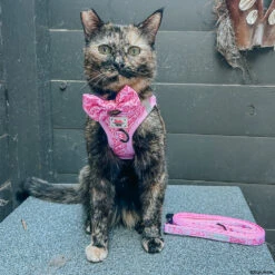 Cat Bowtie - BARBIE™ Malibu 11 Cat Bowtie - BARBIE™ Malibu -Furfinity Cheap Shop SCREAMY BEANY 3 609a2526 2478 4e6c b883 e7edcbd319af