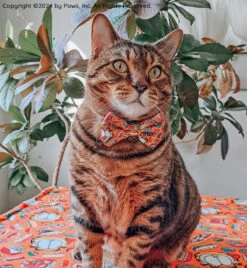 Cat Bowtie - Garfield™ -Furfinity Cheap Shop SEVEN THE RESCUE 3