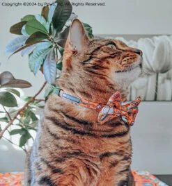 Cat Collar - Garfield™ -Furfinity Cheap Shop SEVEN THE RESCUE 4