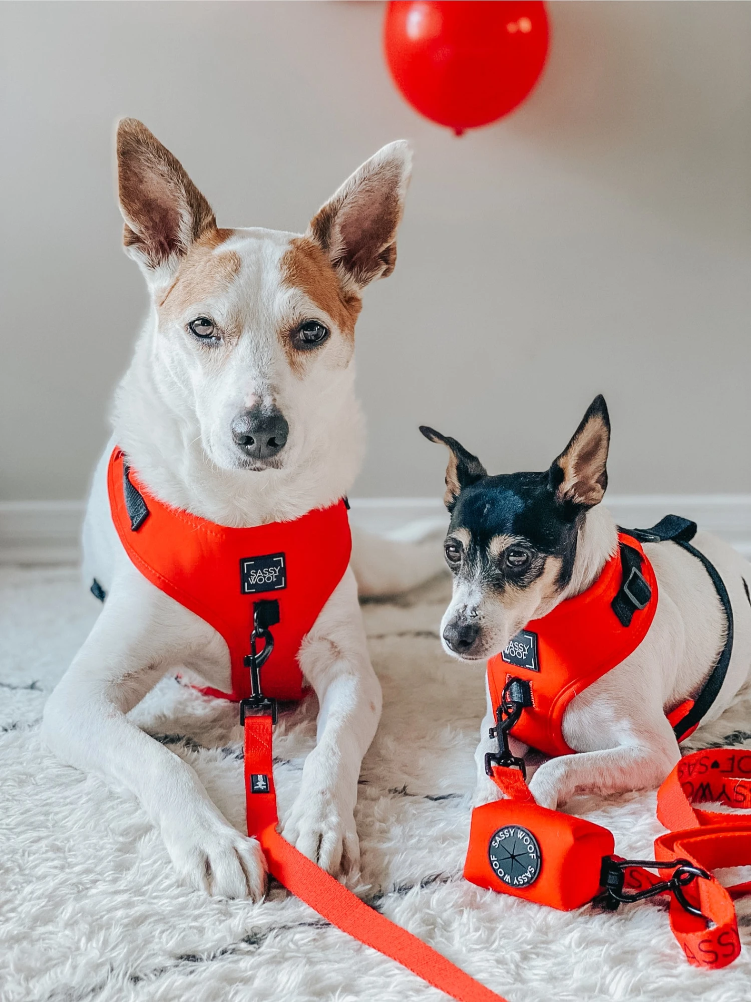 Dog Waste Bag Holder - Neon Red 6 Dog Waste Bag Holder - Neon Red - Image 4