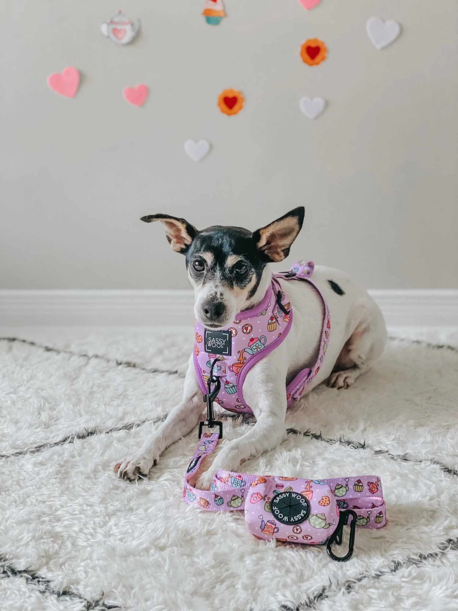 Dog Four Piece Bundle - Tea Pawty 14 Dog Four Piece Bundle - Tea Pawty - Image 12