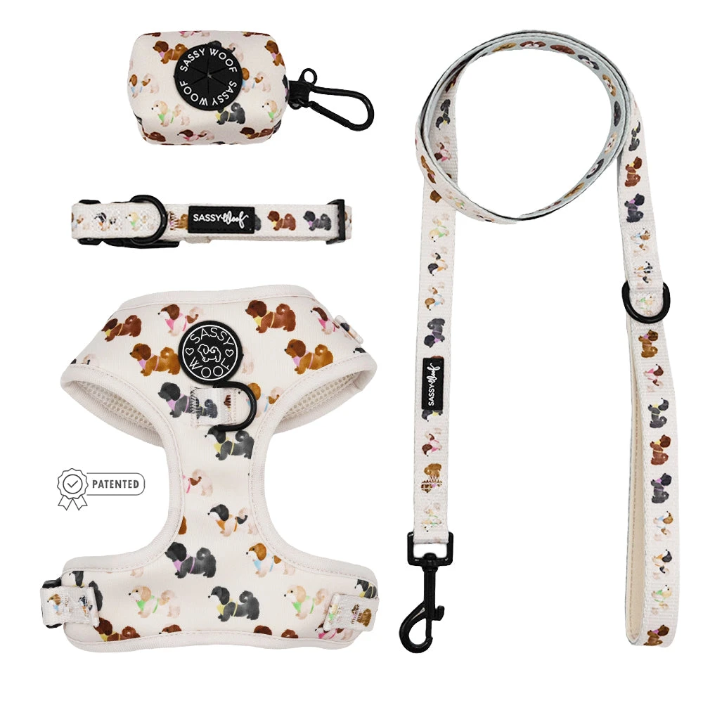 Dog Four Piece Bundle - Spunky Shih Tzus 3 Dog Four Piece Bundle - Spunky Shih Tzus