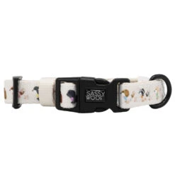 Dog Four Piece Bundle - Spunky Shih Tzus 14 Dog Four Piece Bundle - Spunky Shih Tzus -Furfinity Cheap Shop SHIHTZU COLLAR 51b63b71 baa9 4351 9e09 d4c6a7936c80