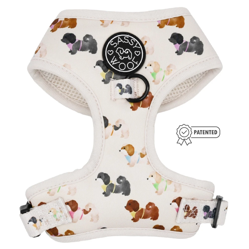 Dog Four Piece Bundle - Spunky Shih Tzus 4 Dog Four Piece Bundle - Spunky Shih Tzus - Image 2