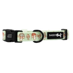 Dog Collar - Shrooms & Blooms 14 Dog Collar - Shrooms & Blooms -Furfinity Cheap Shop SHROOMS BLOOMS COLLAR