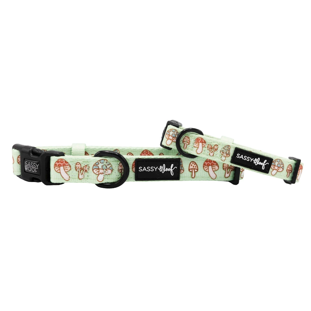Dog Collar - Shrooms & Blooms 3 Dog Collar - Shrooms & Blooms