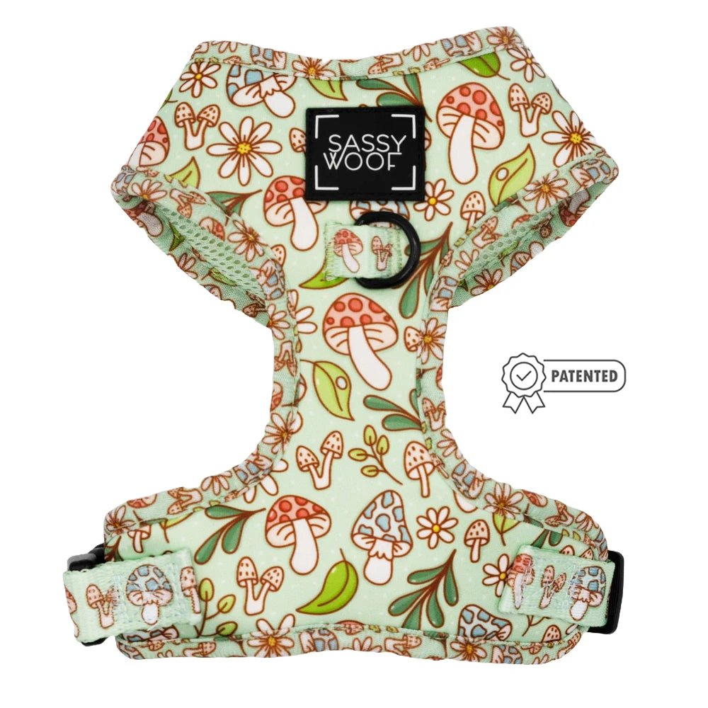 Dog Two Piece Bundle - Shrooms & Blooms 4 Dog Two Piece Bundle - Shrooms & Blooms - Image 2