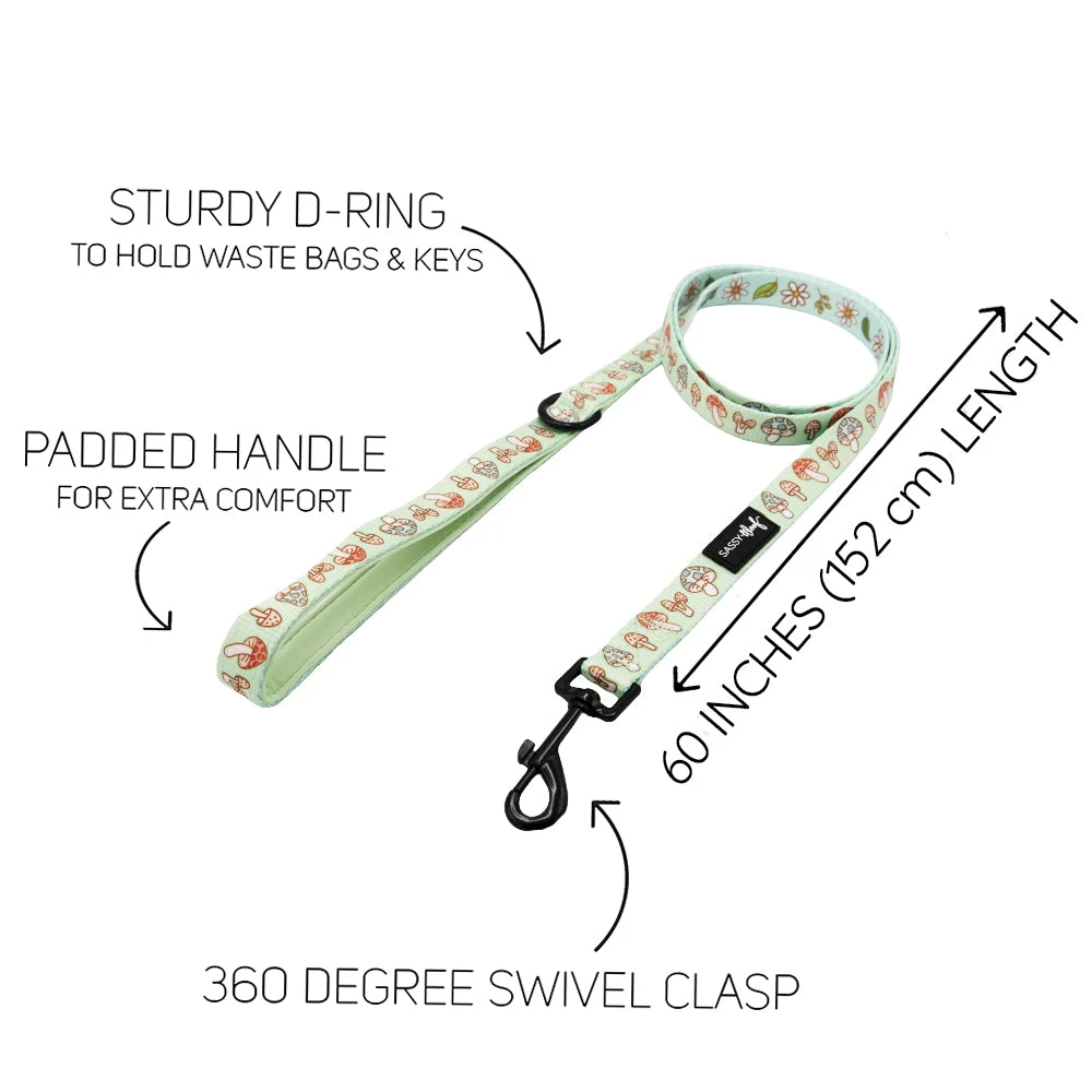 Dog Two Piece Bundle - Shrooms & Blooms 6 Dog Two Piece Bundle - Shrooms & Blooms - Image 4