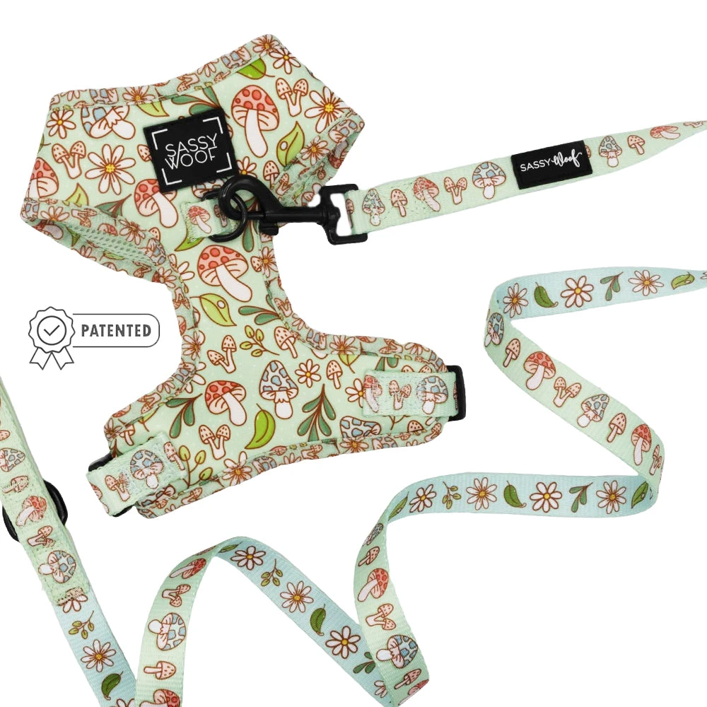Dog Two Piece Bundle - Shrooms & Blooms 3 Dog Two Piece Bundle - Shrooms & Blooms