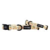Dog Collar - Simply The Zest -Furfinity Cheap Shop SIMPLY THE ZEST COLLAR STACKED