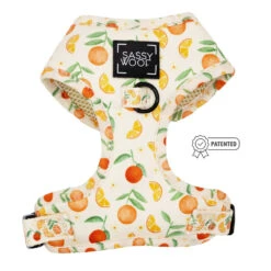 Dog Two Piece Bundle - Simply The Zest -Furfinity Cheap Shop SIMPLY THE ZEST HARNESS PATENTED 2385078e ae20 493e 8c67 e016c4413fbd