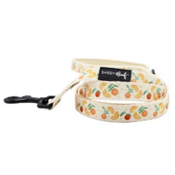 Dog Three Piece Bundle - Simply The Zest -Furfinity Cheap Shop SIMPLY THE ZEST LEASH 1eace206 eba7 49c8 8d8f 04b1c48ec4cc