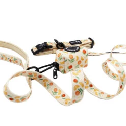 Dog Three Piece Bundle - Simply The Zest -Furfinity Cheap Shop SIMPLY THE ZEST THREE PIECE BUNDLE 2