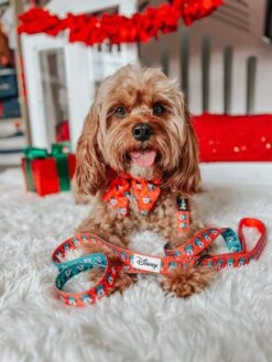 Dog Sailor Bow - Disney Holiday Collection -Furfinity Cheap Shop SIT OLLIE SIT 2 1 8e230c79 3e8c 48f1 8ba3 76f168cfca6c