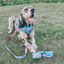 Dog Two Piece Bundle - BARBIE™ On A Roll 19 Dog Two Piece Bundle - BARBIE™ On A Roll -Furfinity Cheap Shop SKYE THESETTER1 9ef1af4e 7842 4e69 a67d 7b102b818970