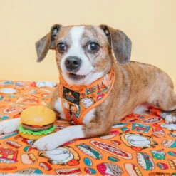 Dog Four Piece Bundle - Garfield™ -Furfinity Cheap Shop SMALL ROSIE POSIE 2