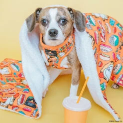 Dog Two Piece Bundle -Garfield™ -Furfinity Cheap Shop SMALL ROSIE POSIE d1f6fec8 7fa5 4ba5 ba7b dab5869cb311