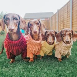 Dog Cable Knit Sweater - Red -Furfinity Cheap Shop SOMETHING ABOUT CHEESECAKE 3