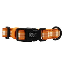 Dog Four Piece Bundle - Spiced Harvest -Furfinity Cheap Shop SPICED HARVEST SASSY WOOF COLLAR 2