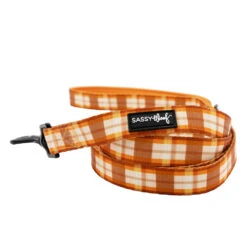 Dog Four Piece Bundle - Spiced Harvest -Furfinity Cheap Shop SPICED HARVEST SASSY WOOF LEASH