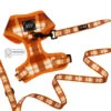 Dog Two Piece Bundle - Spiced Harvest -Furfinity Cheap Shop SPICED HARVEST SASSY WOOF TWO PIECE