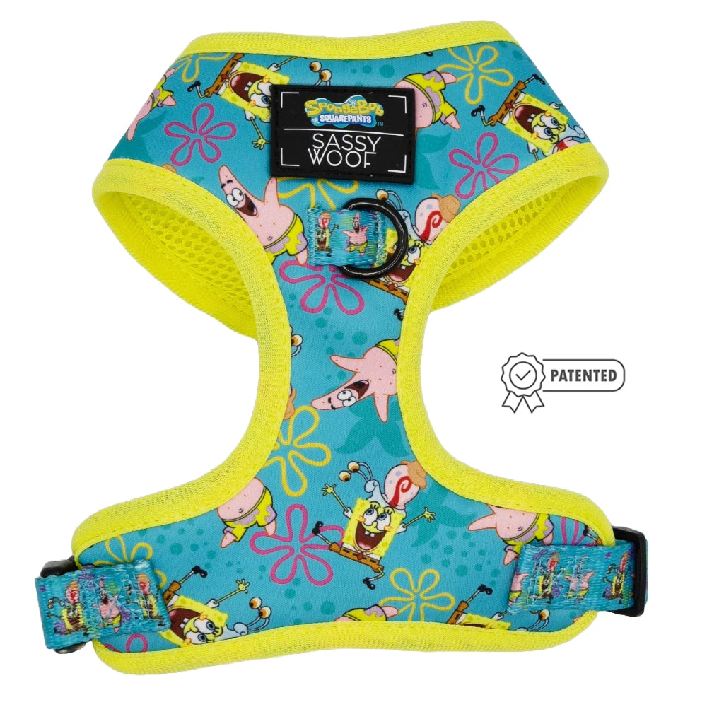Dog Two Piece Bundle -SpongeBob SquarePants™ Jelly Fishin' 4 Dog Two Piece Bundle -SpongeBob SquarePants™ Jelly Fishin' - Image 2