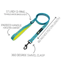 Dog Four Piece Bundle - SpongeBob SquarePants™ Jelly Fishin' -Furfinity Cheap Shop SPONGEBOB BLUE LEASH GUIDE 3f1acfa6 c56a 4c79 a3d7 9acdf4fe68b0