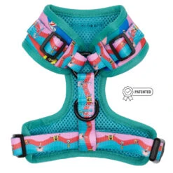 Dog Two Piece Bundle -SpongeBob SquarePants™ And Friends -Furfinity Cheap Shop SPONGEBOB MULTI COLOR HARNESS PATENTED 2 e4f863bb 213f 4028 86d7 f6efc9480408