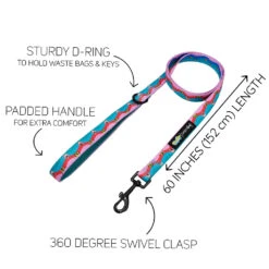 Collar Three Piece Bundle - SpongeBob SquarePants™ And Friends -Furfinity Cheap Shop SPONGEBOB MULTI COLOR LEASH GUIDE cd2ea819 a756 40a0 9283 9da04627dae5