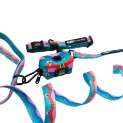 Collar Three Piece Bundle - SpongeBob SquarePants™ And Friends -Furfinity Cheap Shop SPONGEBOB WAVES THREE PIECE BUNDLE 2