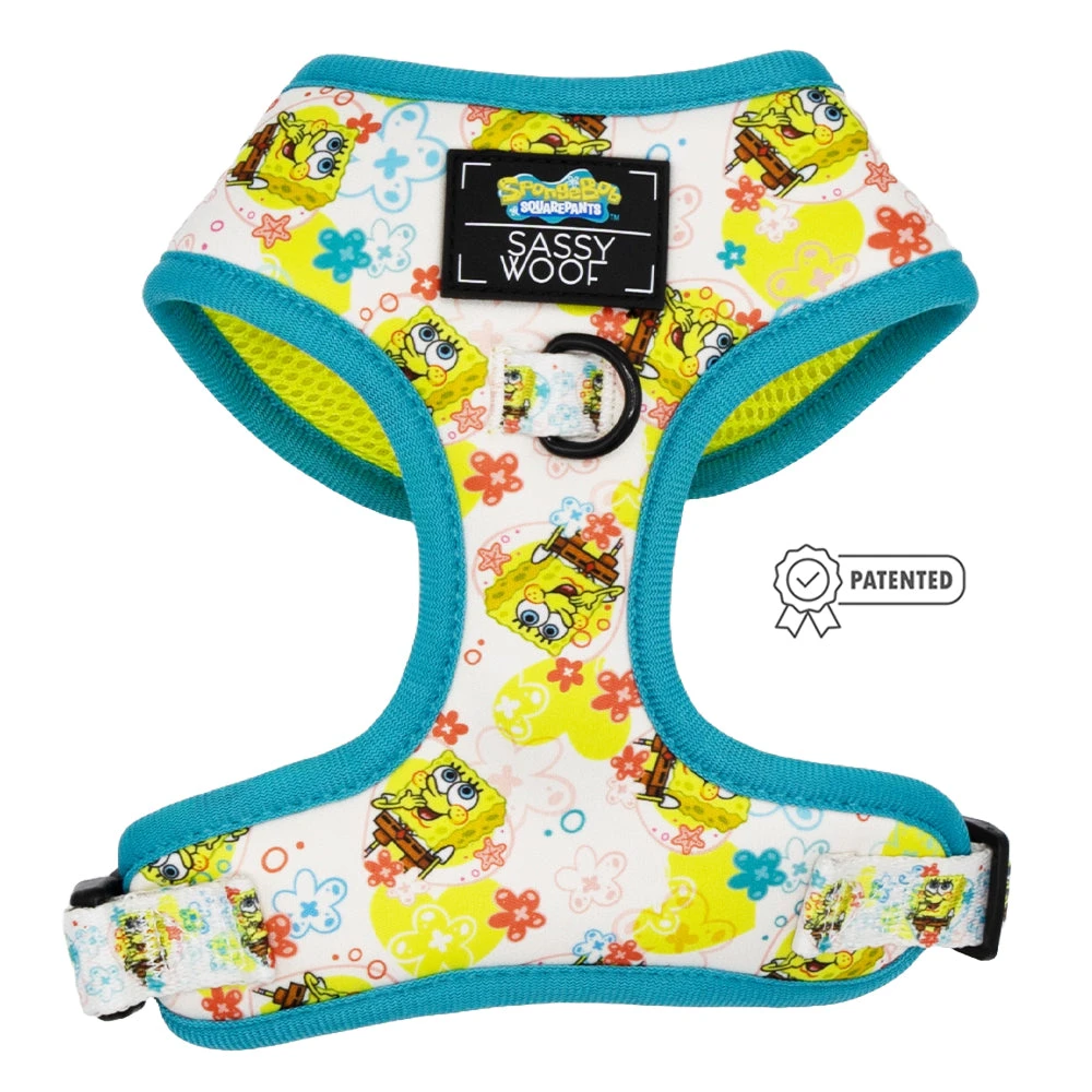 Dog Four Piece Bundle - SpongeBob SquarePants™ Bikini Bottom 4 Dog Four Piece Bundle - SpongeBob SquarePants™ Bikini Bottom - Image 2