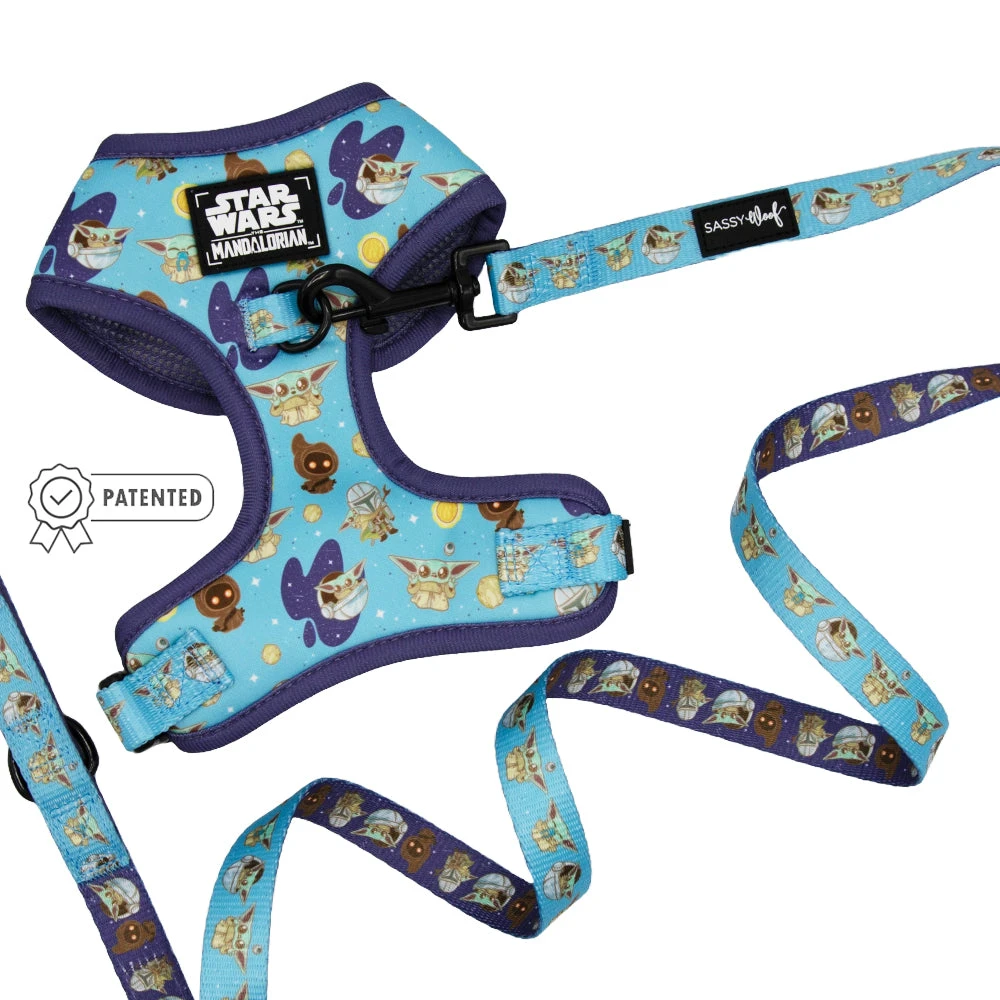 Dog Two Piece Bundle -STAR WARS™ The Mandalorian™ 3 Dog Two Piece Bundle -STAR WARS™ The Mandalorian™