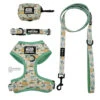 Dog Four Piece Bundle - STAR WARS™ The Child™ -Furfinity Cheap Shop STAR WARS PETSMART MANDOLORIAN GREEN BUNDLE PATENTED