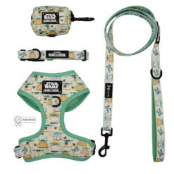Dog Four Piece Bundle - STAR WARS™ The Child™