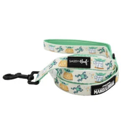 Dog Two Piece Bundle -STAR WARS™ The Child™ -Furfinity Cheap Shop STAR WARS PETSMART MANDOLORIAN GREEN LEASH