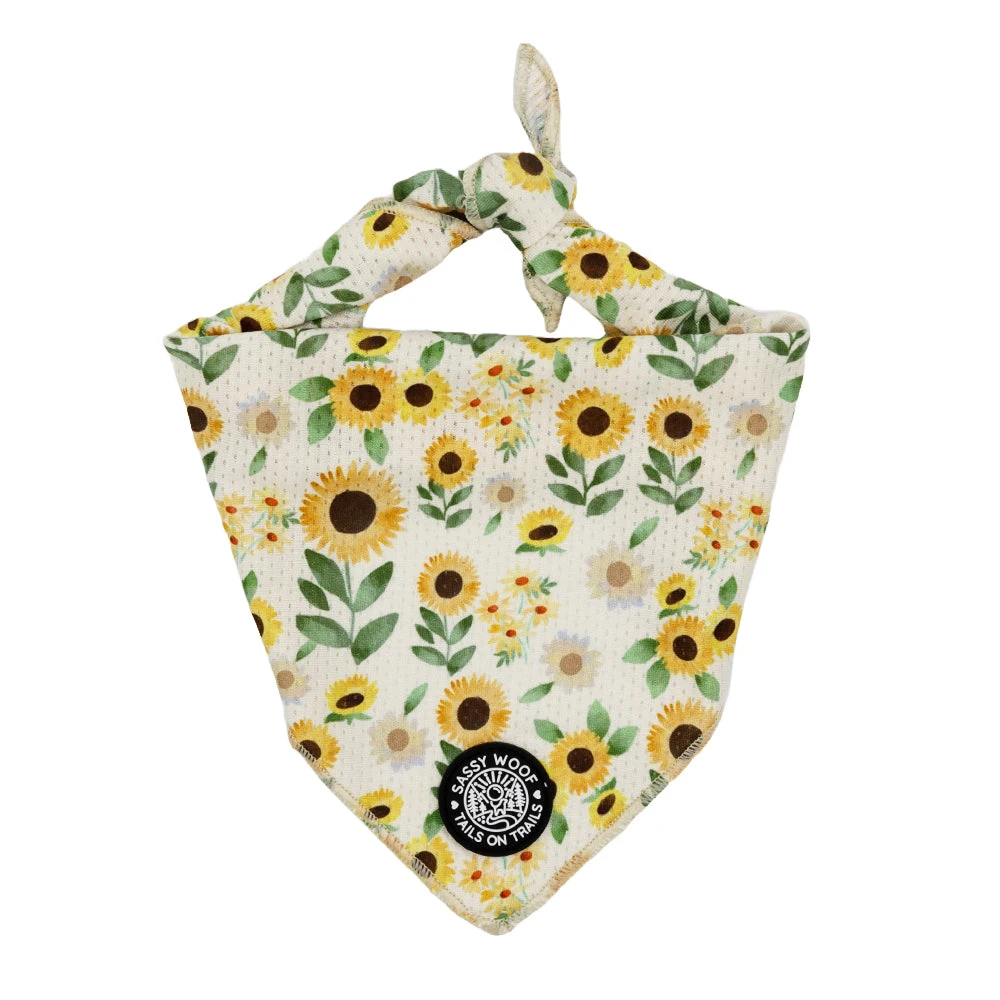 Dog Bandana - Sunflower Dreams 3 Dog Bandana - Sunflower Dreams