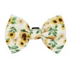 Cat Bowtie - Sunflower Dreams -Furfinity Cheap Shop SUNFLOWER DREAMS SASSY MEOW BOW be663431 0c5e 4abc 8e40 d0b464ef0120