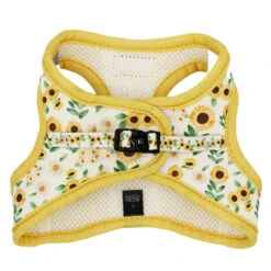 Furfinity Cheap Shop -Furfinity Cheap Shop SUNFLOWER DREAMS SASSY MEOW HARNESS 2