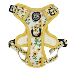 Dog Two Piece Bundle - Sunflower Dreams -Furfinity Cheap Shop SUNFLOWER DREAMS SASSY WOOF HARNESS 943c8605 1e8e 4ffd b61a d0fa5641c317