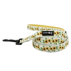 Dog Four Piece Bundle - Sunflower Dreams -Furfinity Cheap Shop SUNFLOWER DREAMS SASSY WOOF LEASH