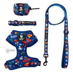 Dog Four Piece Bundle - Superman™ & Krypto™