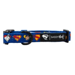 Dog Four Piece Bundle - Superman™ & Krypto™ -Furfinity Cheap Shop SUPERMAN KRYPTO COLLAR